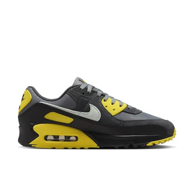Men's Nike Air Max 90 Smoke Grey/Light Silver (DM0029 016)